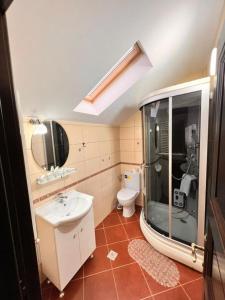 巴克乌Vila Alsace Podu' cu Lanturi的带淋浴、盥洗盆和卫生间的浴室