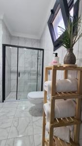 达拉曼Villa Koyuncu的带淋浴、卫生间和毛巾的浴室