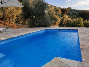 伊斯纳哈尔La Pluma的一个带遮阳伞和树木的蓝色游泳池