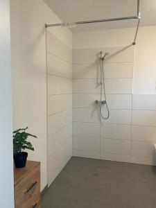 霍佩加尔滕Gästehaus Hoppegarten的白色的室内淋浴间,种植了植物