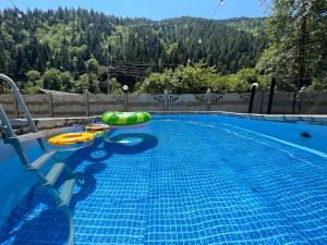 博尔若米Serenity Likani Villa Hotel的游泳池上设有木筏和充气式