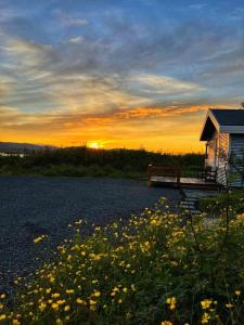 VaðlækirCosy Cottage in Golden Circle near Thingvellir的坐在花田旁边的长凳