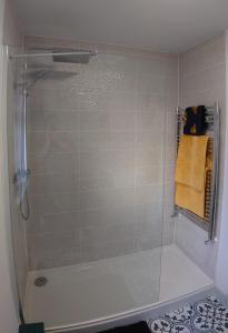 金斯林Avocet Lodge, Snettisham的浴室里设有玻璃门淋浴