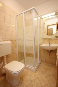 ZaglavDouble Room Zaglav 8144b的带淋浴、卫生间和盥洗盆的浴室