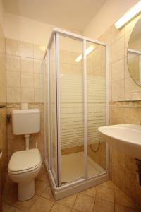 ZaglavDouble Room Zaglav 8144d的带淋浴、卫生间和盥洗盆的浴室