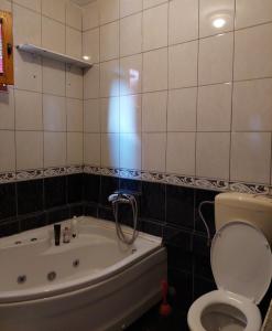 扎布利亚克Apartments Igor的浴室配有卫生间、浴缸和卫生间。
