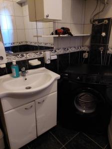 扎布利亚克Apartments Igor的一间带水槽和洗衣机的浴室
