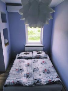 米利奇Agroturystyka "U Źródła"的一间卧室设有两张床和窗户。
