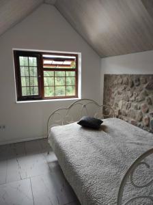 普拉特利艾Žilių sodyba的一间卧室配有一张带枕头的床