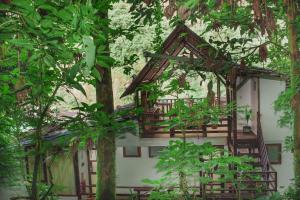 马丘比丘Rupa Rupa High Jungle Eco B&B的森林中的一个树屋
