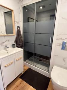 科尔马Superbe appartement Colmar avec vue et Jacuzzi的带淋浴、卫生间和盥洗盆的浴室