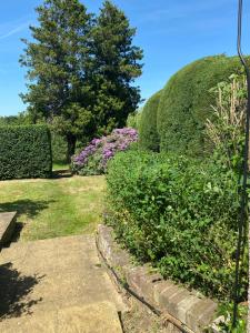 WitleySunnyhill的花园拥有美丽的园景灌木丛和步道
