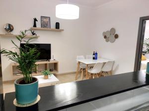 马拉加La Brisa apartamento的一间客厅,在柜台上放有盆子植物