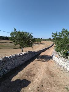 阿尔贝罗贝洛Masseria Catucci Agriturismo的土路旁的石墙