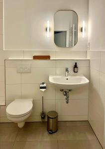 莱比锡LE-Host的一间带卫生间、水槽和镜子的浴室