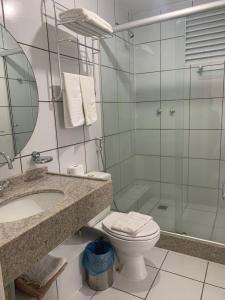 巴雷里尼亚斯GRAN LENÇÓIS FLAT - APTO PARTICULAR的一间带水槽、卫生间和淋浴的浴室