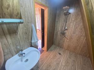K'edaA Frame Cottage in Varjanisi - Batumi的一间带水槽和淋浴的浴室