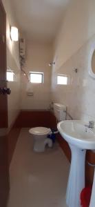 蒙纳Greenview holiday inn的一间带卫生间和水槽的浴室