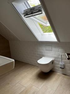 巴特弗兰肯豪森Scheune 65的浴室配有天窗、卫生间和水槽。