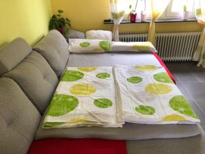 门兴格拉德巴赫Traumhaftes Apartment in Mönchengladbach Ohler的上面有两张枕头的沙发