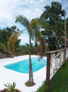 布桑加OcamOcam Azur Inn的围栏旁的棕榈树游泳池