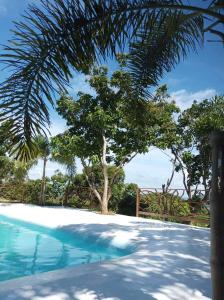 布桑加OcamOcam Azur Inn的一座有树的游泳池