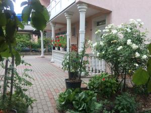 萨拉热窝Miki的花卉和植物的房子的门廊