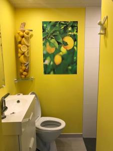 韦尔维耶Studio Au jardin fleuri的黄色的浴室设有卫生间和水槽