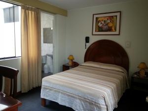 阿雷基帕阿尔莫哈达德尔雷酒店的相册照片