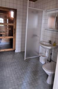 穆奥尼奥佩客内小屋公寓的一间带水槽、淋浴和卫生间的浴室