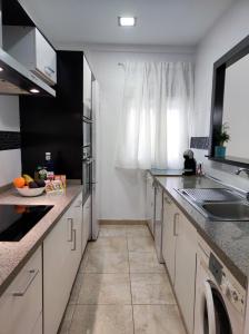 马拉加La Brisa apartamento的一个带水槽和洗碗机的厨房