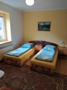 特尔乔夫Chalupa pod lipami的配有两张桌子和一扇窗户的客房内的两张床