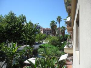巴勒莫Palermo eleganza in centro città的享有棕榈树街道和建筑的景色
