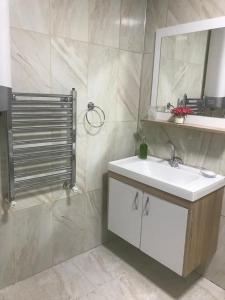 Doğa apart的一间带水槽、镜子和淋浴的浴室
