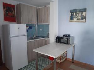 帕雷恩特西菲基昂Palio Villa的厨房配有带微波炉和冰箱的桌子