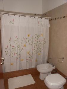 Leandro N. AlemPortal de Alem Hotel的浴室设有卫生间和鸟瞰式淋浴帘