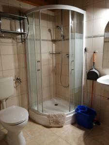 凯希道库什塔尼Flóra Apartmanok的带淋浴和卫生间的浴室