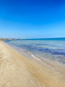 托雷奇安卡Ferienhaus am Meer Süd Italien Torre Chianca的海滩与大海相映成趣