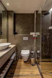 特拉布宗Hancioglu Orman Evleri (Bungalow) & Hotel的一间带卫生间和玻璃淋浴间的浴室