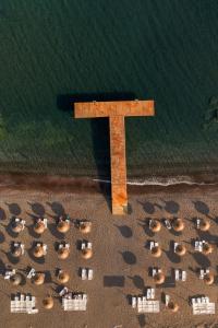 达特恰弗洛达特卡冲浪及海滩酒店的一群人一起在海滩上划着木十字架