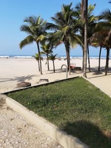 大普拉亚Apartamento beira-mar na praia da aviação的海滩上一片种满棕榈树的草地