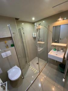 布拉格中央一室公寓的带淋浴、卫生间和盥洗盆的浴室