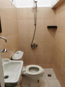 瓦迪穆萨佩特拉门大酒店 的浴室配有卫生间、盥洗盆和淋浴。