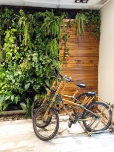布宜诺斯艾利斯卡萨卡尔玛酒店的停在墙上的自行车,上面有植物