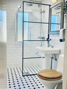 瑙沃Villa Vintage B&B的带淋浴、卫生间和盥洗盆的浴室