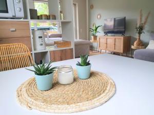 奥尔登堡Boho Apartment Oldenburg的一间客厅,桌子上放有两盆植物