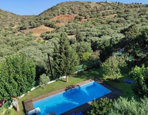 VrouchasElounda Collection Villa的享有树木繁茂的游泳池的顶部景色