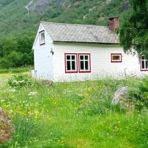 艾菲约德An authentic experience in picturesque Eidfjord的花田里红色窗户的白色房子