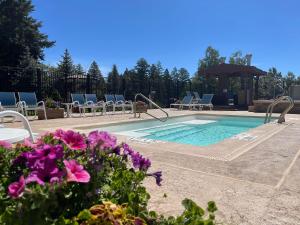 克劳德克罗夫特The Lodge at Cloudcroft的一个带椅子和凉亭的游泳池,并种植了紫色的鲜花