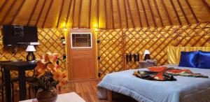 乌鲁比西Casa Campo Yurt 3 Aconchego tenda mongólica Wifi的蒙古包内一间卧室,配有一张床